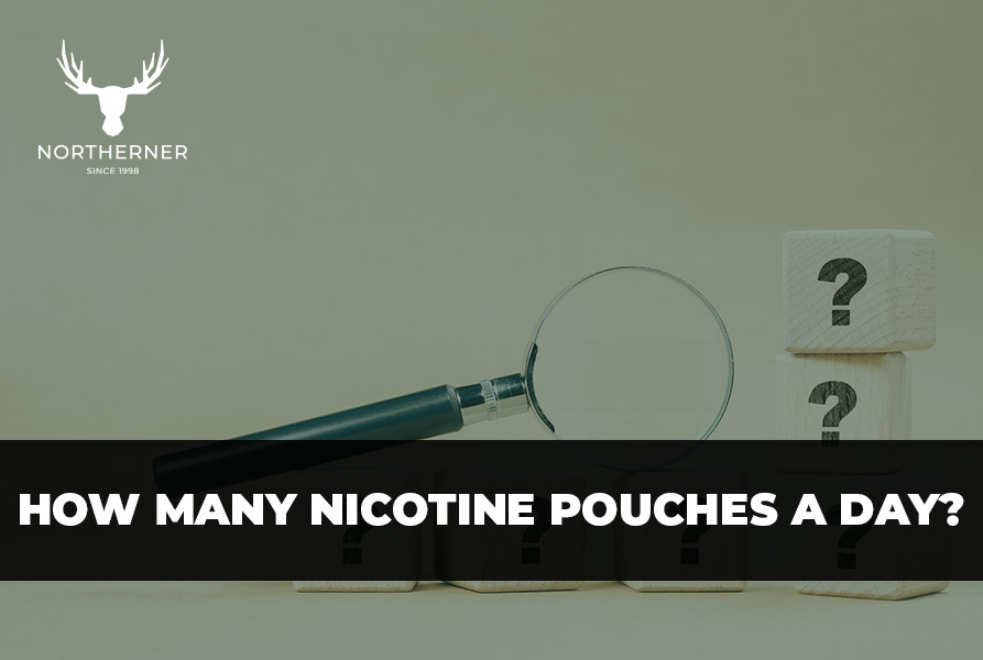 how many nicotine pouches a day